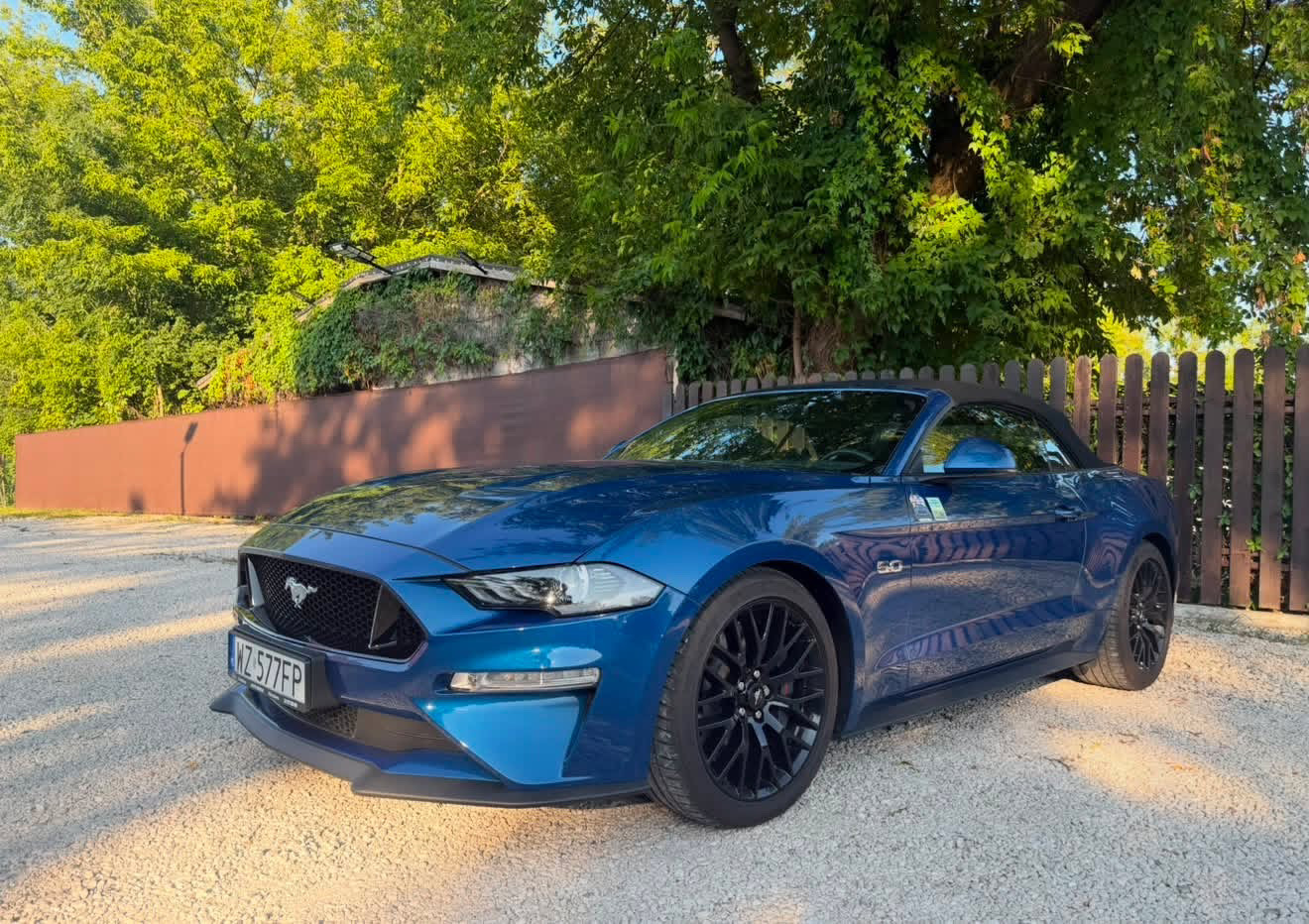 Ford Mustang GT Cabrio z 2022 roku